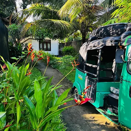 The Mango Retreat-3