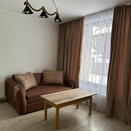 Mount Cottages Bakuriani-3