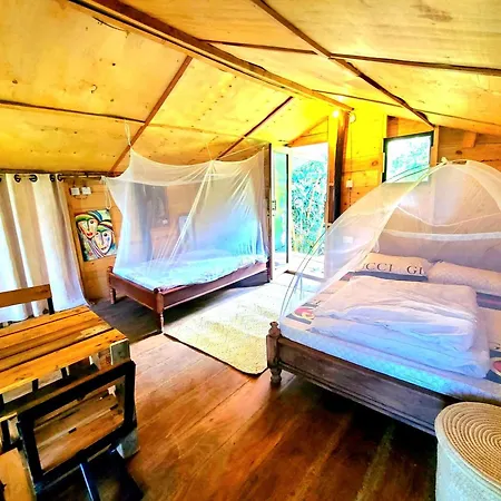 Aroma Home - Eco-Cabins On A Coffee Farm-2