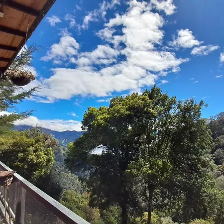 Altura House-2