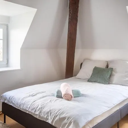 Exceptionnels Studio, Maison De Maitre, Parking Gratuit Sur Place, Mulhouse Centre-3