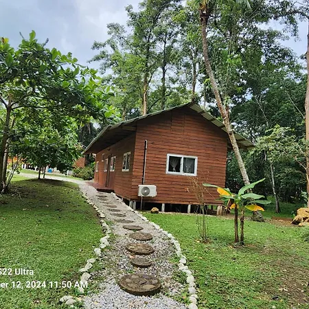 Happy Iguana Marina And Cabins-2