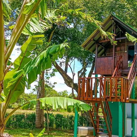 Pride Rock Villa & Tree House-2