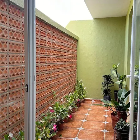 Casa Membrillo In Tlaquepaque-3