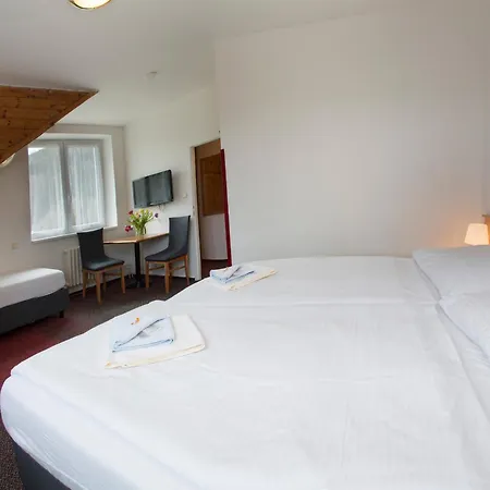 Hotel Harrachov Inn-3