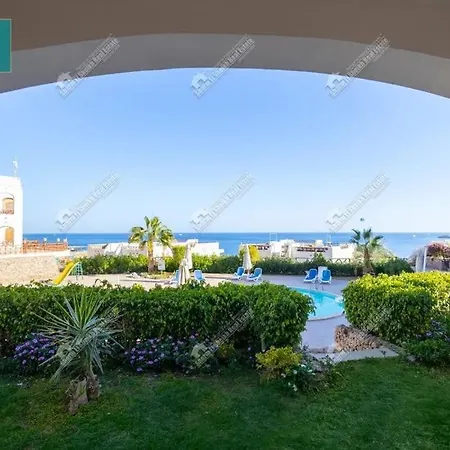 Ss-2255 Seaview Sharks Bay Oasis-2