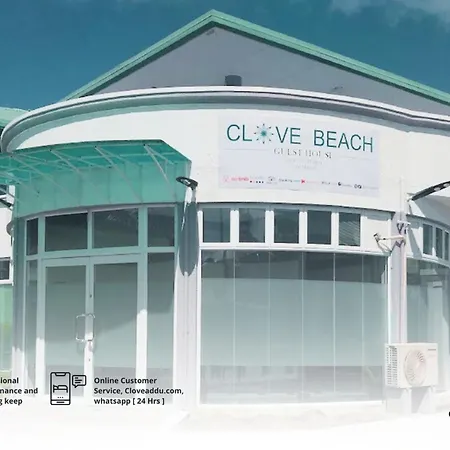 Clove Beach-3