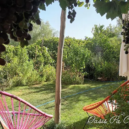 Oasis Pa Clau-2