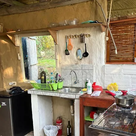 Sweet Little Cabin In Ecological Artist Community-3