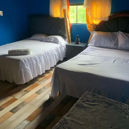 Alicia Hospedaje 2-2