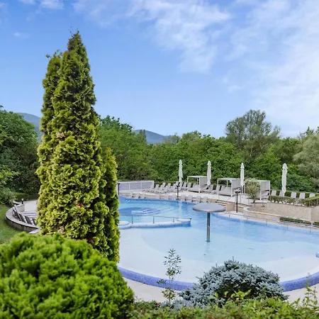 Thermal Hotel Visegrád-2