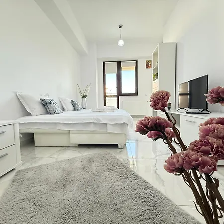 Elite Suite-3