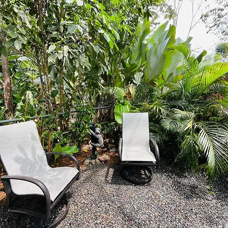 Casa Cariad Close To Surfing Lessons And More!-2