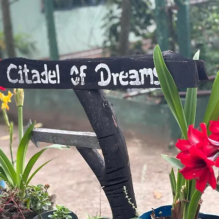 Citadel Of Dreams Ella-3