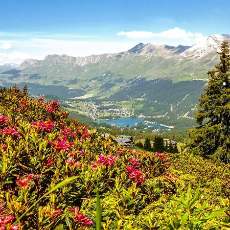 Hotel Lenzerhorn - Alpine Stay, Spa&Savour-2