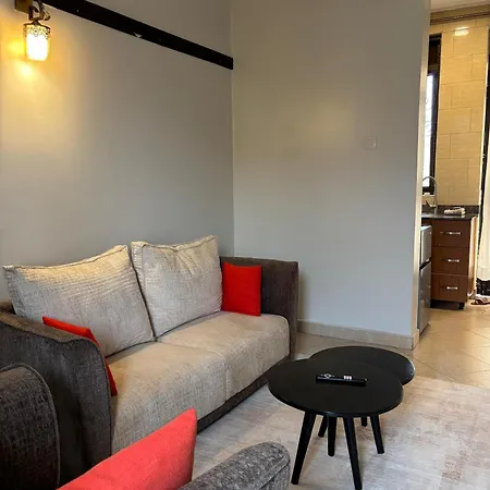 Quiet One Bedroom In Kampala- Ideal For Work & Holidays-2