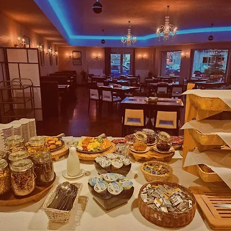 Hotel Borowiecki-3