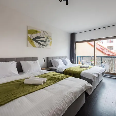 Deluxe Apartments Near Center Prague-2