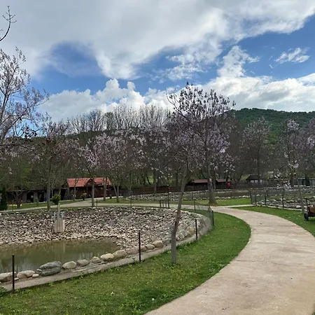 Villa Tino Omorani-2