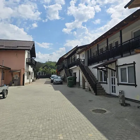 Pensiunea Casa Cu Flori-2