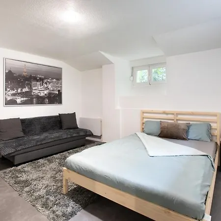 Spacieux Studio, Maison De Maitre, Parking Prive Sur Place, Mulhouse Centre-2