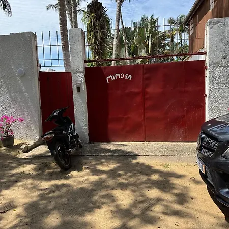 Maison Mimosa-2