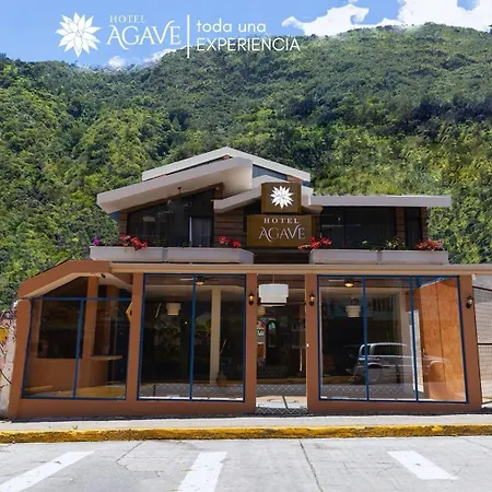 Hotel Casa Agave-3