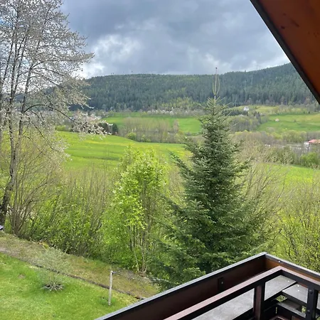 Im Tannenblick-2