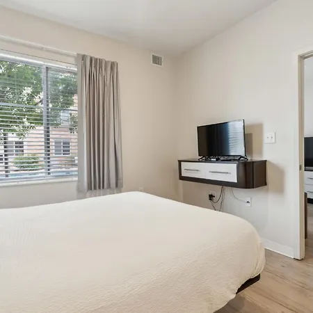 Simplicity 1103 I Spacious 1Bd1Bth Apartment-3