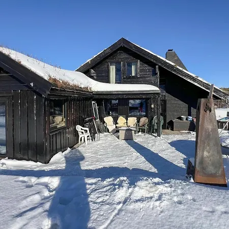 Schönes Haus In Hovden I Setesdal Mit Sauna-3