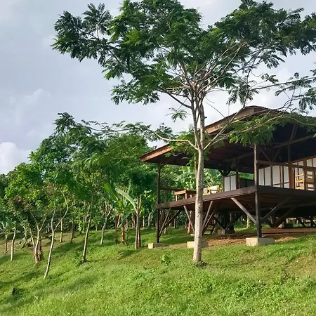 The Ridge Surf Lodge-3