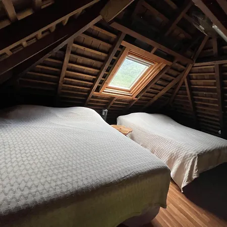 Bungalow Plage Bobby - Moorea Dolphin Lodge-3