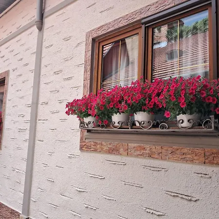 Hotel Claudiu-3