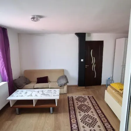 Iris Studio Spacious Apartment-2