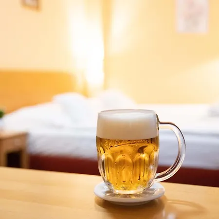 Hotel U Salzmannů-3