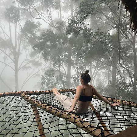 Ella Retreat Hotel Glamping Tent For Nature Lovers-3