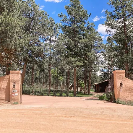 Poolhouse In The Pines-3