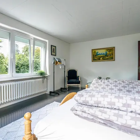Sunny Home near Zurich Airport-3