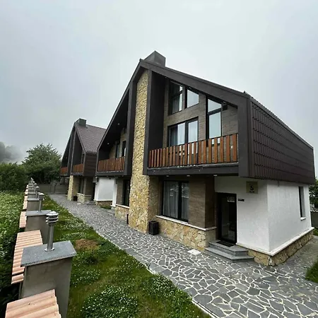 Mount Cottages Bakuriani-2
