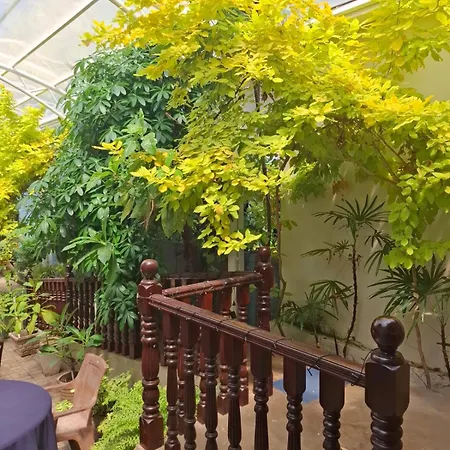 New Sea Joy Guest House-3