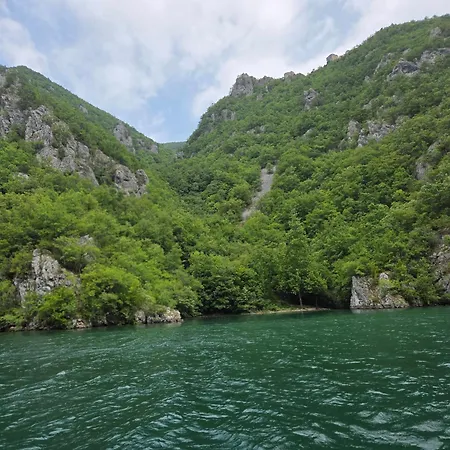 Villas Mlecika And Zvoncic- Jezero Lake Perucac-3