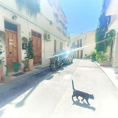 Terrammare Del Golfo-3