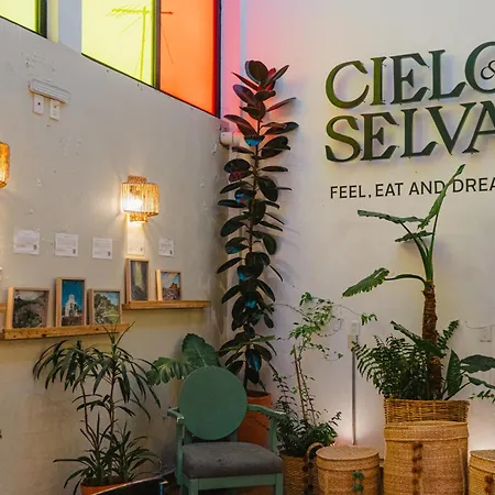 Hotel Cielo Y Selva, San Cristobal De Las Casas-2