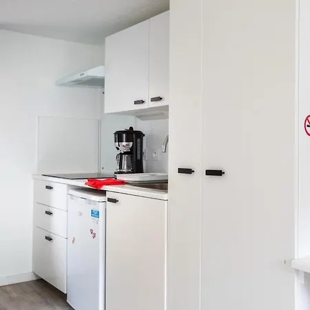 N1 Deluxe Bright Studio, Renovated, Free Parking, Mulhouse Centre-3