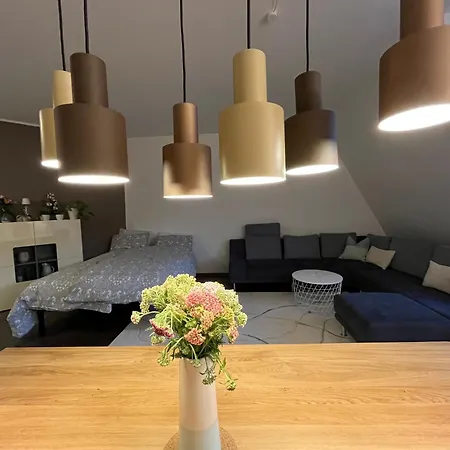 City-Apartment With Private Rooftop Terrace-2