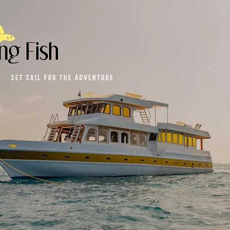 Flying Fish-2