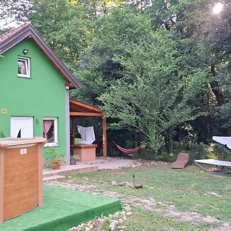 Green House-2