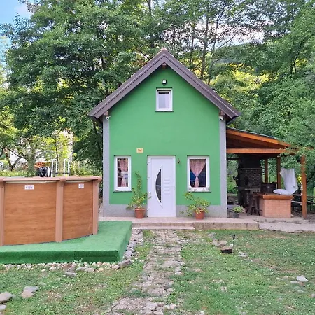 Green House-3