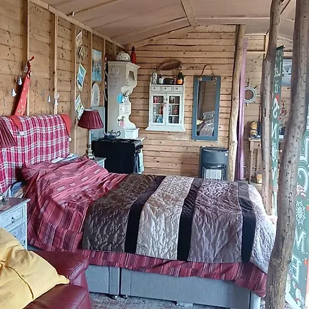 Oceanview Glamping Pod-2