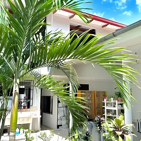 Vive A 5Min Del Centro 3Hab Con A/C Cochera Privad-3